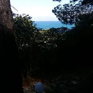 https://villa-punta-pispisa-scopello.sicilyhotelsitaly.net